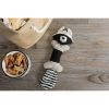 Bone Dry Raccoon Squeaky Bone Pet Toy